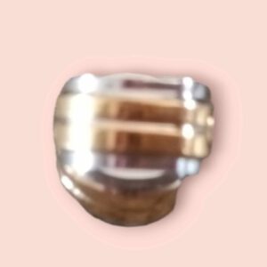 RVS Oorbellen Goud en Zilver Glans Strepen