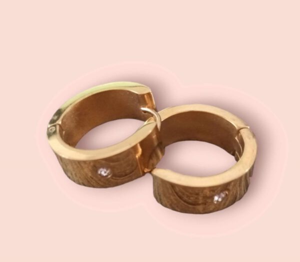 RVS Oorbellen Goudkleur met Strass