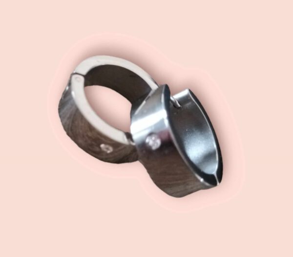 RVS Oorbellen Zilverkleur met Strass
